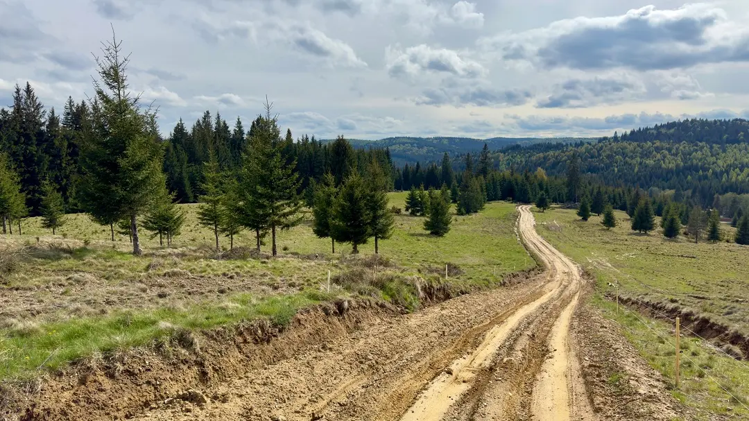 Romanya'da çamurlu yol