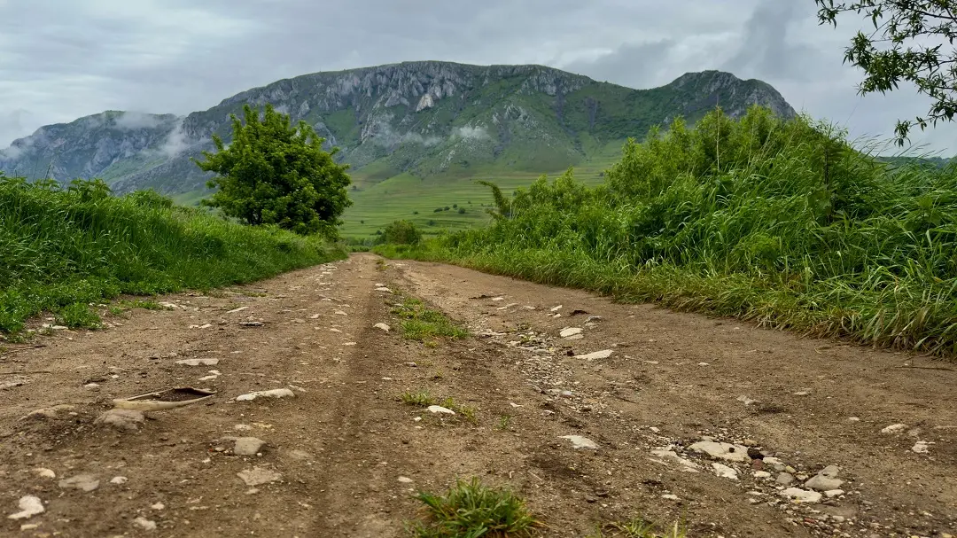 Romanya dağ manzarasına sahip taş yol